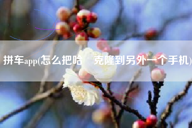 拼车app(怎么把哈啰克隆到另外一个手机)