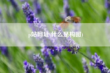 p站网址(什么是构图)