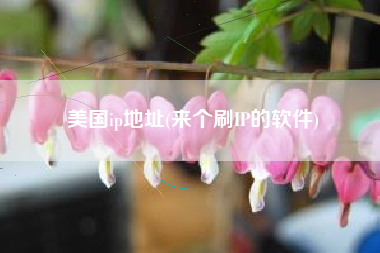 美国ip地址(来个刷IP的软件)
