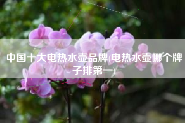 中国十大电热水壶品牌(电热水壶哪个牌子排第一)