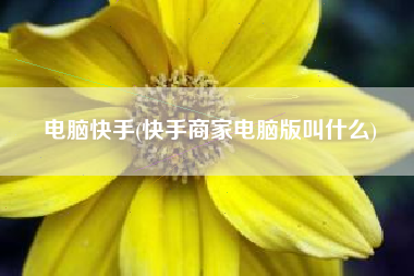 电脑快手(快手商家电脑版叫什么)