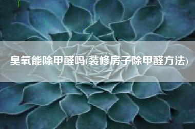 臭氧能除甲醛吗(装修房子除甲醛方法)