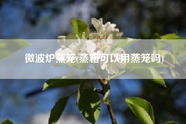 微波炉蒸笼(蒸箱可以用蒸笼吗)