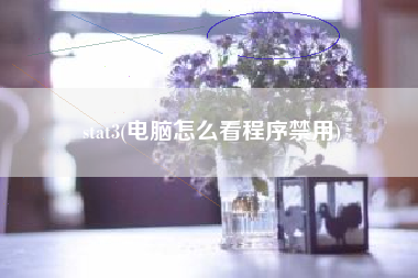 stat3(电脑怎么看程序禁用)