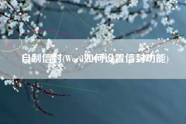 自制信封(Word如何设置信封功能)