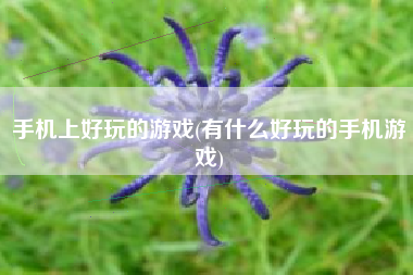 手机上好玩的游戏(有什么好玩的手机游戏)