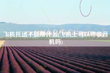 飞机托运不能带什么(飞机上可以带收音机吗)