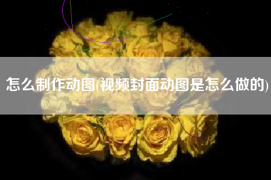 怎么制作动图(视频封面动图是怎么做的)