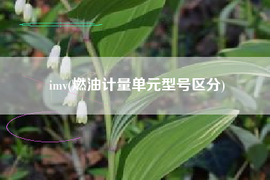imv(燃油计量单元型号区分)