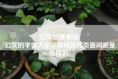 公文管理系统(
公文的字体大小字体间距和页面间距是怎样的) 公文管理系统(
公文的字体大小字体间距和页面间距是怎样的)
