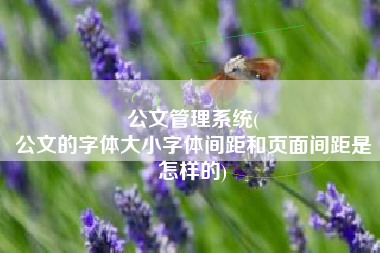 公文管理系统(
公文的字体大小字体间距和页面间距是怎样的) 公文管理系统(
公文的字体大小字体间距和页面间距是怎样的)