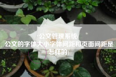 公文管理系统(
公文的字体大小字体间距和页面间距是怎样的) 公文管理系统(
公文的字体大小字体间距和页面间距是怎样的)