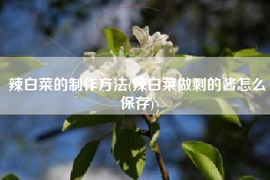 详细阅读:辣白菜的制作方法(辣白菜做剩的酱怎么保存) 辣白菜的制作方法(辣白菜做剩的酱怎么保存)