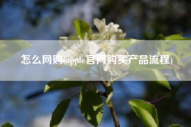 怎么网购(apple官网购买产品流程)