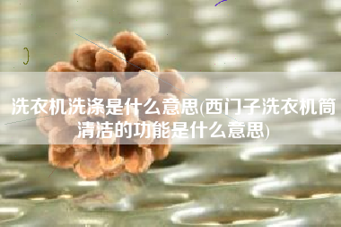 洗衣机洗涤是什么意思(西门子洗衣机筒清洁的功能是什么意思)