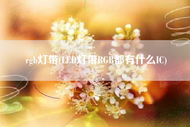 rgb灯带(LED灯带RGB都有什么IC)
