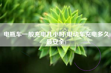 电瓶车一般充电几小时(电动车充电多久最安全)