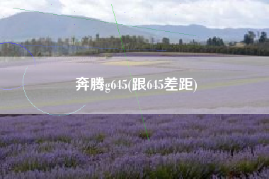 奔腾g645(跟645差距)