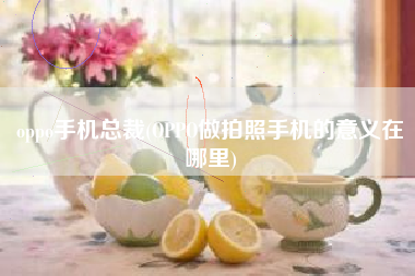 oppo手机总裁(OPPO做拍照手机的意义在哪里)