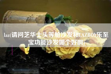 laz(请问芝华士头等舱沙发和LAZBOY乐至宝功能沙发哪个好啊)