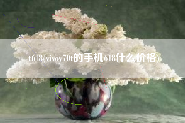 t618(vivoy70t的手机618什么价格)