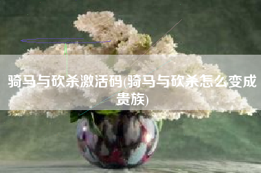 骑马与砍杀激活码(骑马与砍杀怎么变成贵族)