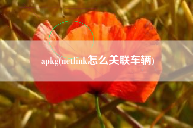 apkg(netlink怎么关联车辆)