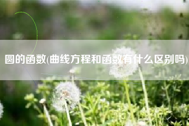 圆的函数(曲线方程和函数有什么区别吗)