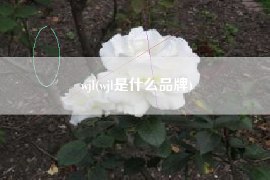 wjl(wjl是什么品牌)