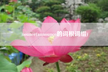 nounce(announce的词根词缀)