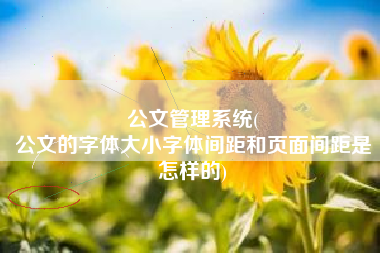公文管理系统(
公文的字体大小字体间距和页面间距是怎样的) 公文管理系统(
公文的字体大小字体间距和页面间距是怎样的)