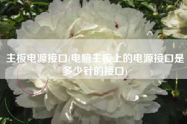主板电源接口(电脑主板上的电源接口是多少针的接口)