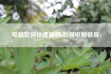电脑如何快速锁屏(如何电脑锁屏)
