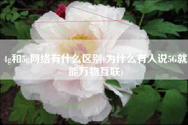 4g和5g网络有什么区别(为什么有人说5G就能万物互联)