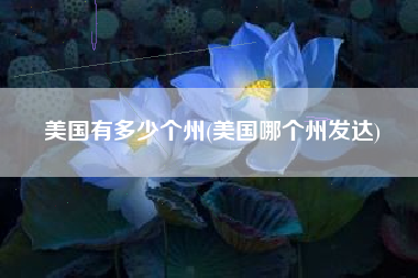 美国有多少个州(美国哪个州发达)