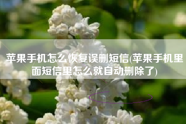 苹果手机怎么恢复误删短信(苹果手机里面短信里怎么就自动删除了)