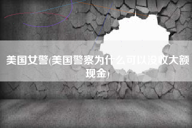 美国女警(美国警察为什么可以没收大额现金)