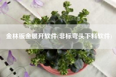 金林钣金展开软件(非标弯头下料软件)