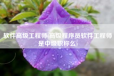 软件高级工程师(高级程序员软件工程师是中级职称么)
