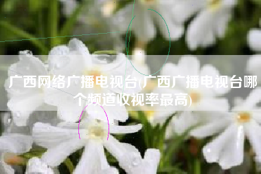 广西网络广播电视台(广西广播电视台哪个频道收视率最高)