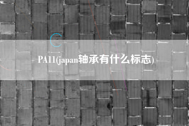 PA11(japan轴承有什么标志)