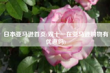 日本亚马逊首页(双十一在亚马逊购物有优惠吗)