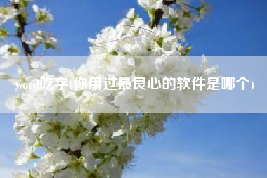 word吃字(你用过最良心的软件是哪个)