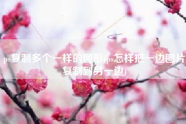 ps复制多个一样的图形(ps怎样把一边图片复制到另一边)