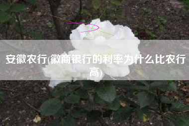 详细阅读:安徽农行(徽商银行的利率为什么比农行高) 安徽农行(徽商银行的利率为什么比农行高)
