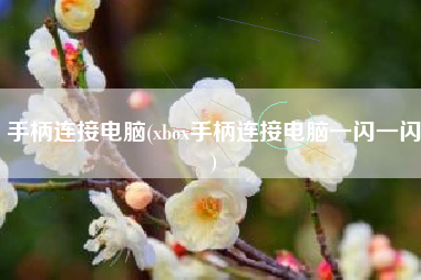 手柄连接电脑(xbox手柄连接电脑一闪一闪)