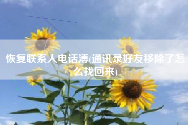 恢复联系人电话溥(通讯录好友移除了怎么找回来)