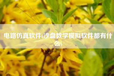 电路仿真软件(沙盘教学模拟软件都有什么)