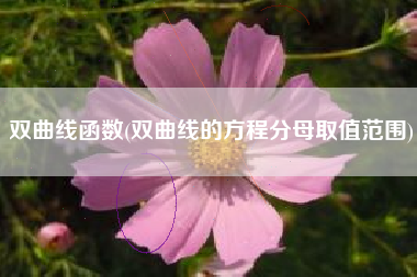 双曲线函数(双曲线的方程分母取值范围)
