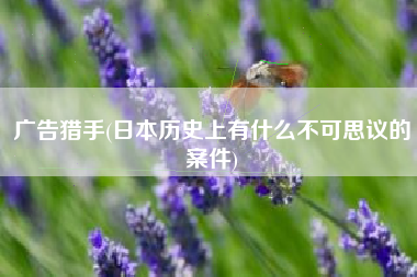 广告猎手(日本历史上有什么不可思议的案件)